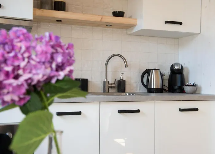 Chalet Luxury Monnickendam